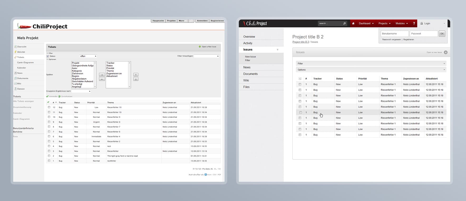 Chili Project application visual evolution