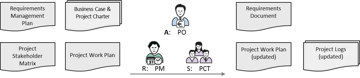 Fig 9.6 Manage Requirements inputs/outputs and main roles