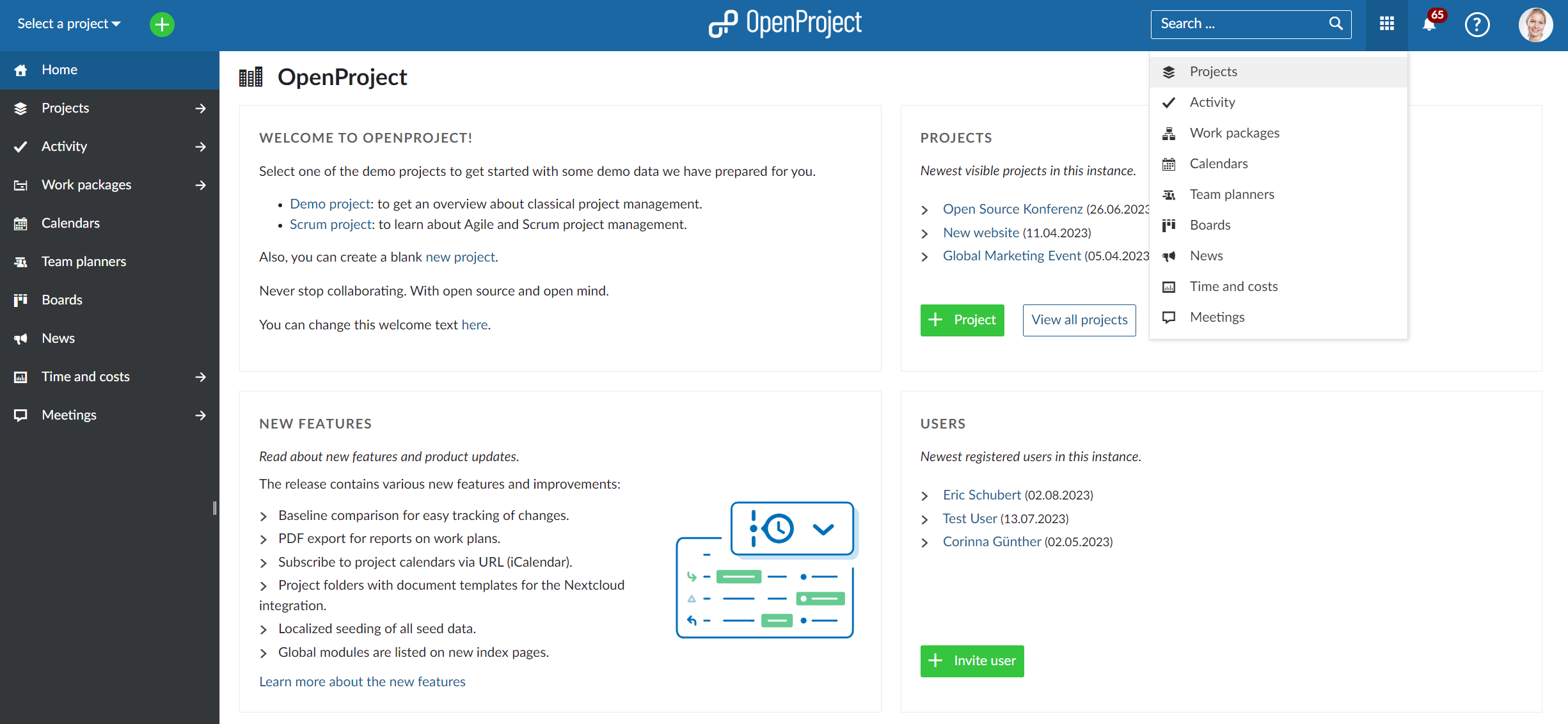 OpenProject global modules overview